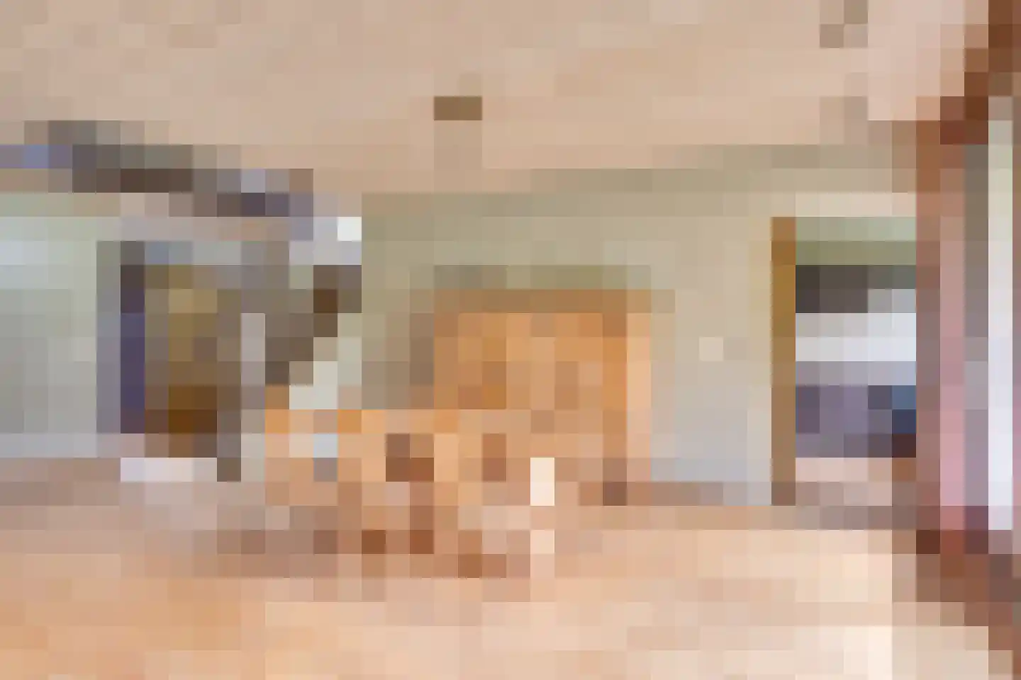 Citrushof 2 Eindhoven thumbnail 14