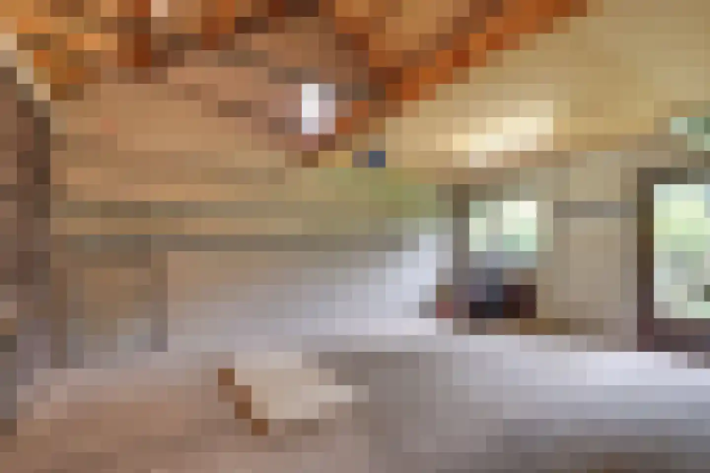 Citrushof 2 Eindhoven thumbnail 25
