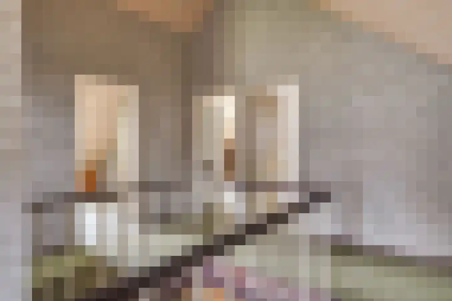 Citrushof 2 Eindhoven thumbnail 26