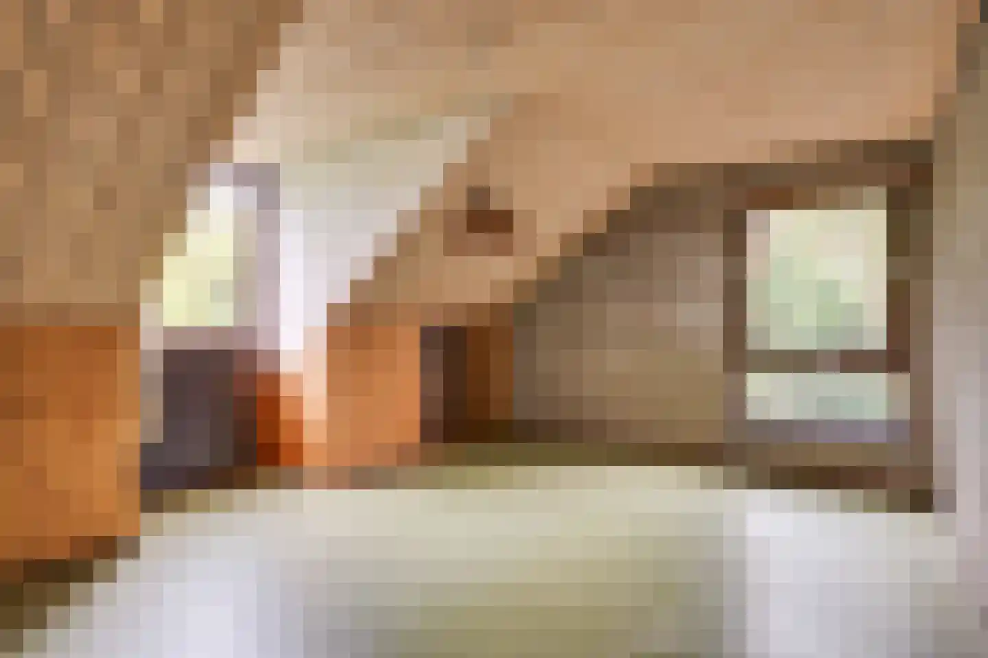 Citrushof 2 Eindhoven thumbnail 29