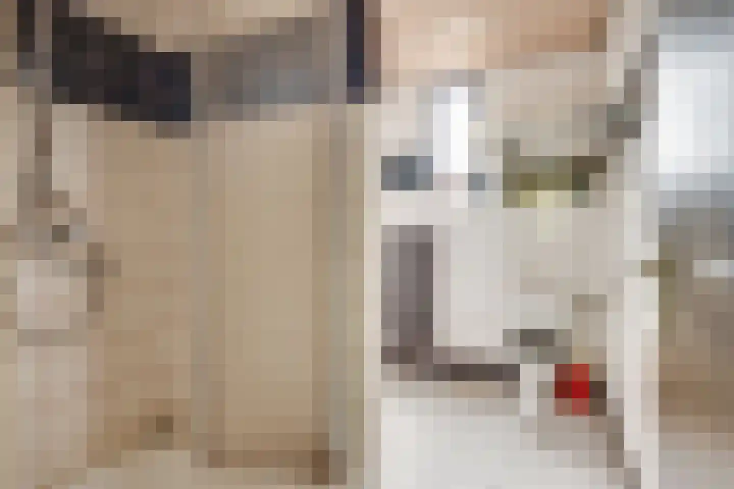 Citrushof 2 Eindhoven thumbnail 33