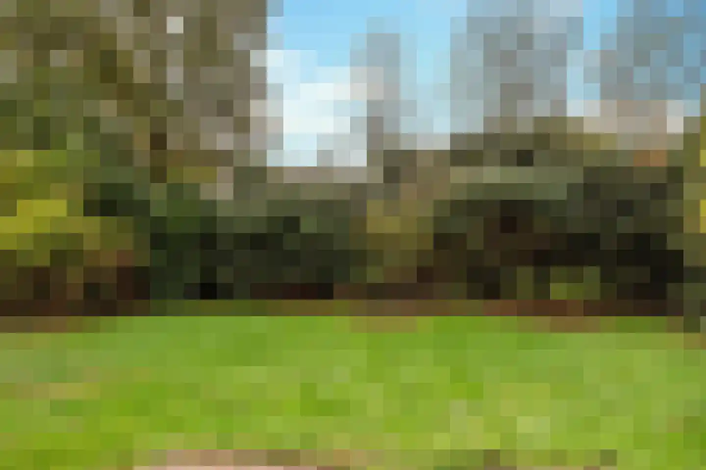 Citrushof 2 Eindhoven thumbnail 35
