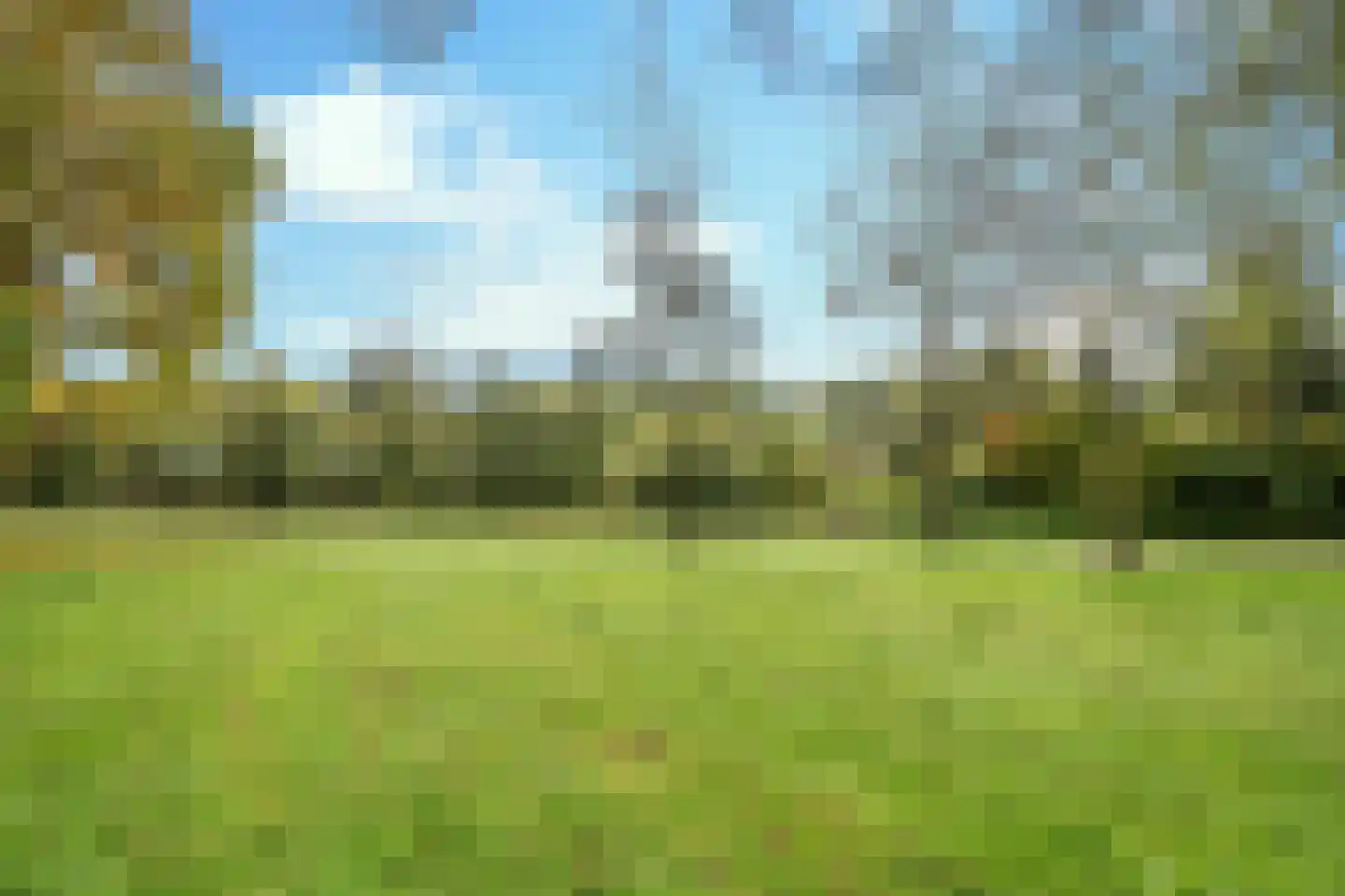 Citrushof 2 Eindhoven thumbnail 36