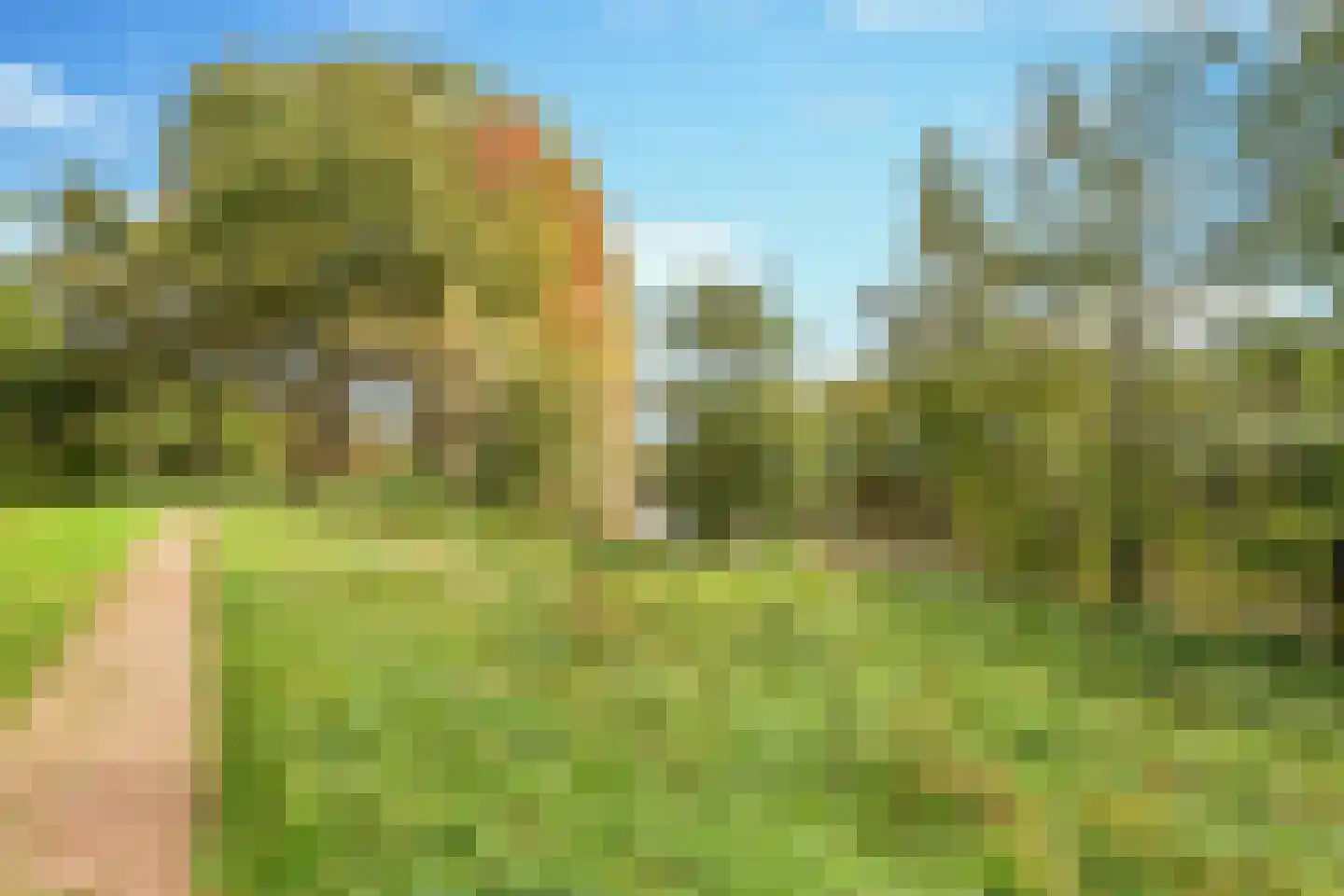 Citrushof 2 Eindhoven thumbnail 37