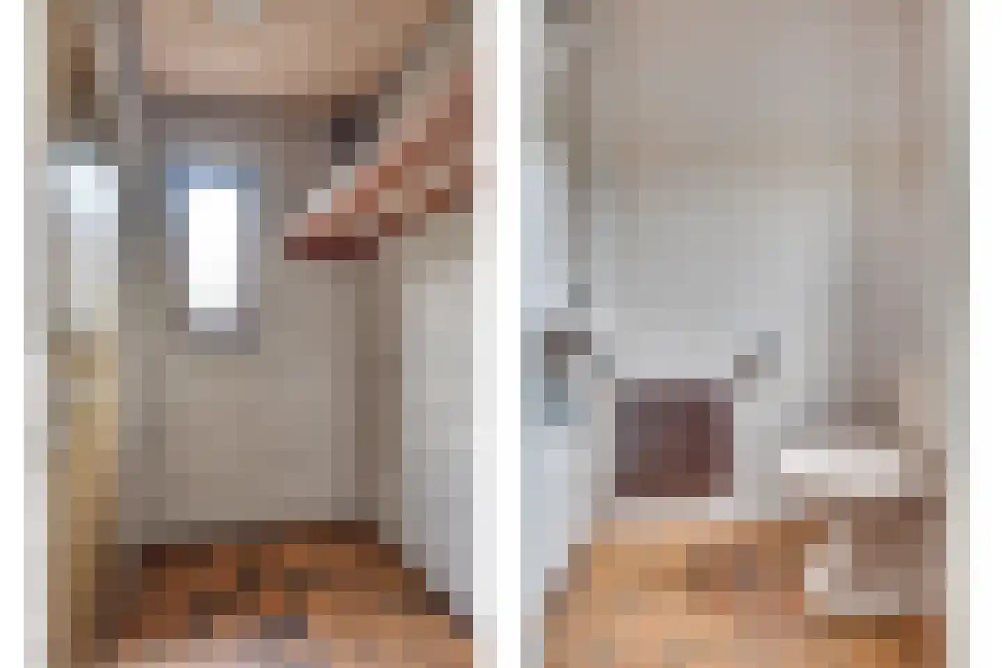 Citrushof 2 Eindhoven thumbnail 6
