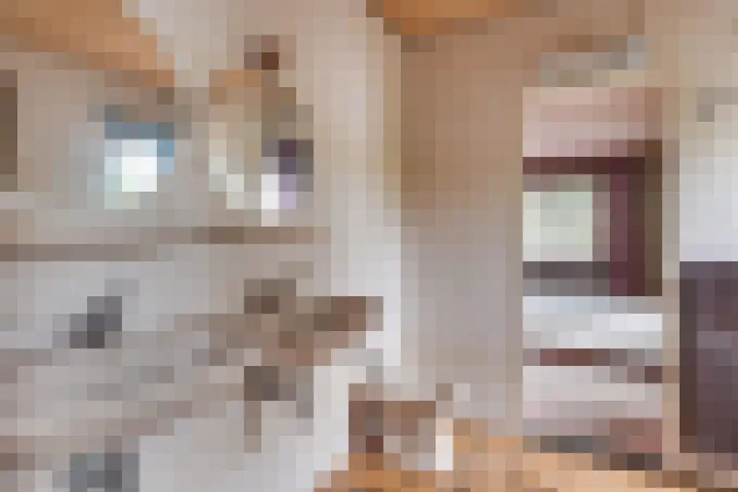 Citrushof 2 Eindhoven thumbnail 7