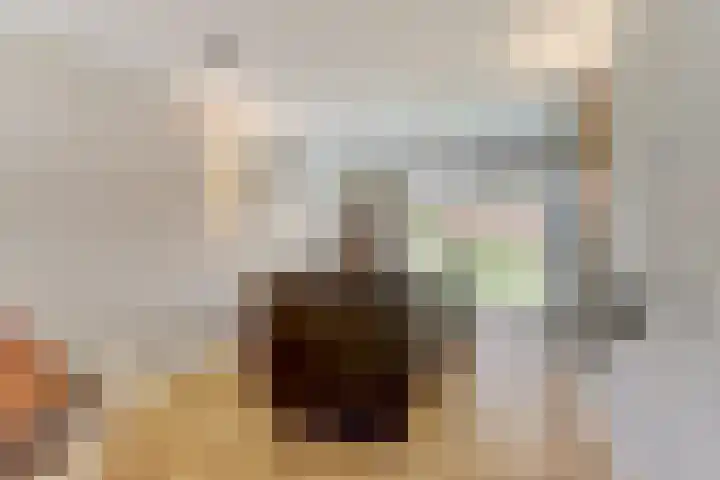 Civitaspad 17 Tiel thumbnail 13
