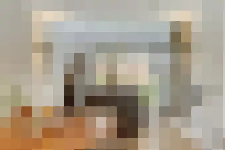 Civitaspad 17 Tiel thumbnail 14