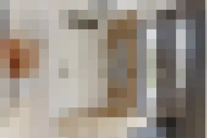 Civitaspad 17 Tiel thumbnail 16