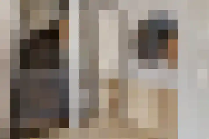 Civitaspad 17 Tiel thumbnail 17
