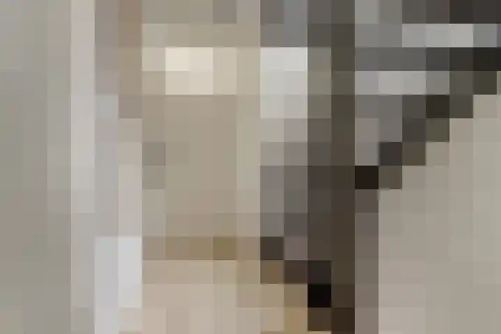 Civitaspad 17 Tiel thumbnail 18