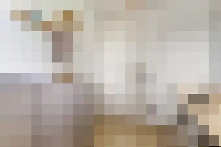 Civitaspad 17 Tiel thumbnail 19