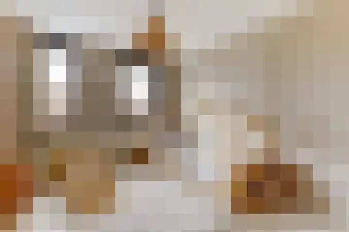 Civitaspad 17 Tiel thumbnail 20