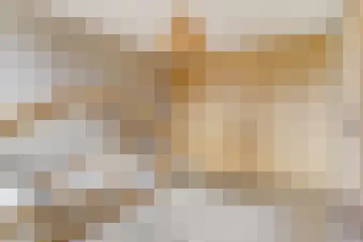 Civitaspad 17 Tiel thumbnail 22