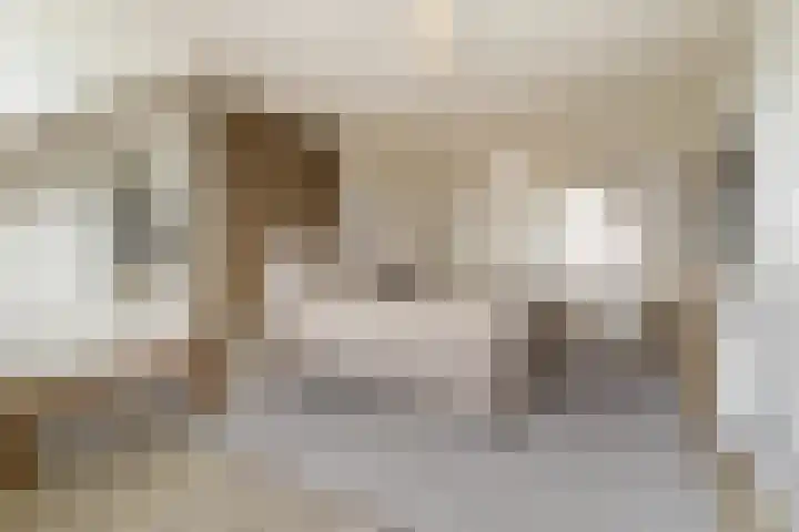 Civitaspad 17 Tiel thumbnail 28