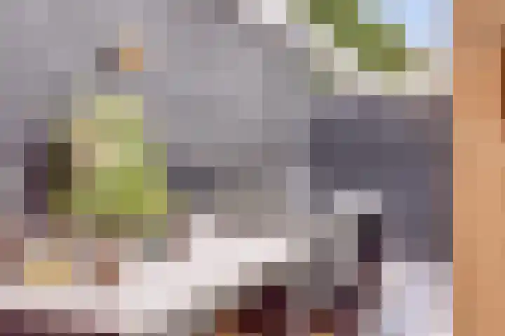 Civitaspad 17 Tiel thumbnail 38