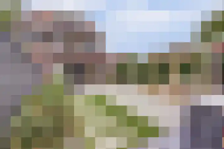 Civitaspad 17 Tiel thumbnail 39