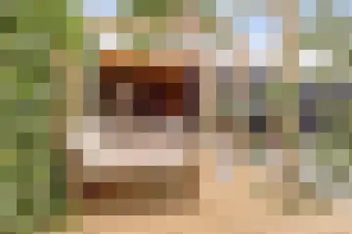 Civitaspad 17 Tiel thumbnail 44