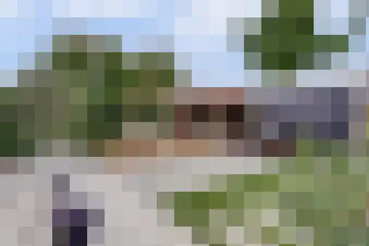 Civitaspad 17 Tiel thumbnail 45