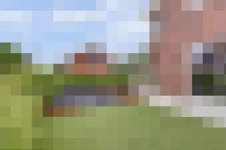 Civitaspad 17 Tiel thumbnail 48