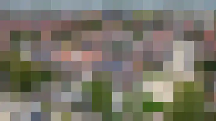 Civitaspad 17 Tiel thumbnail 59