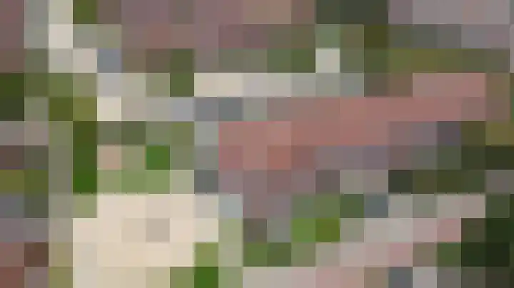 Civitaspad 17 Tiel thumbnail 60