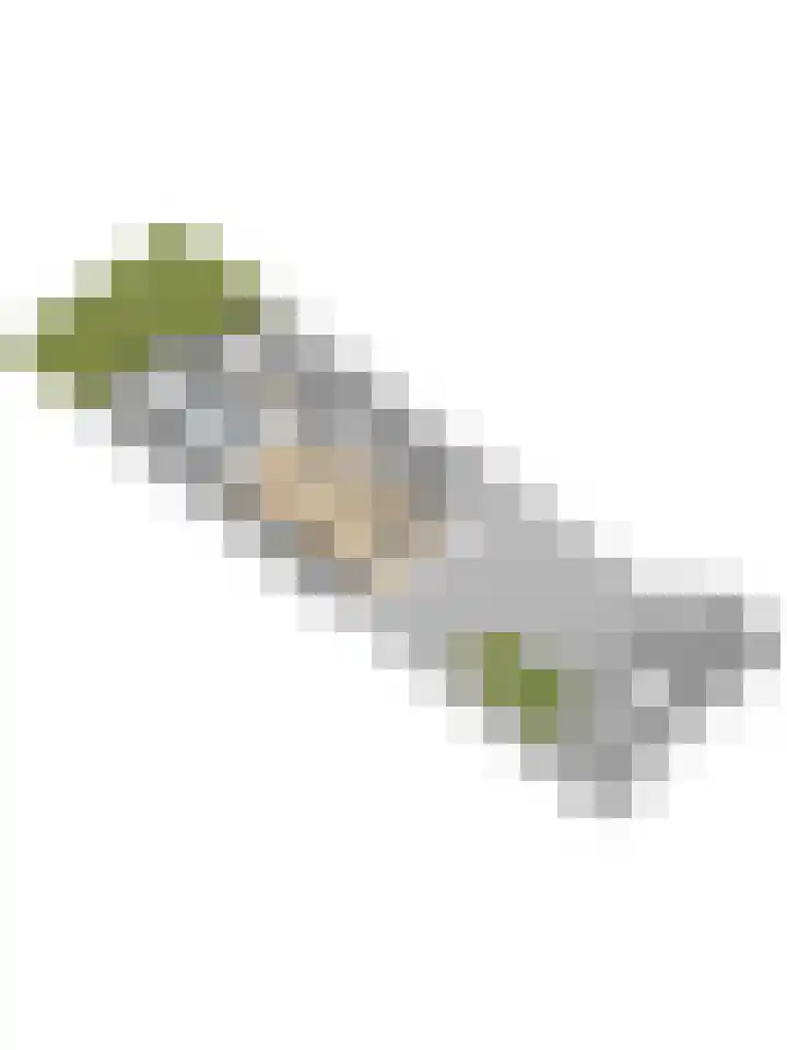 Civitaspad 17 Tiel thumbnail 74
