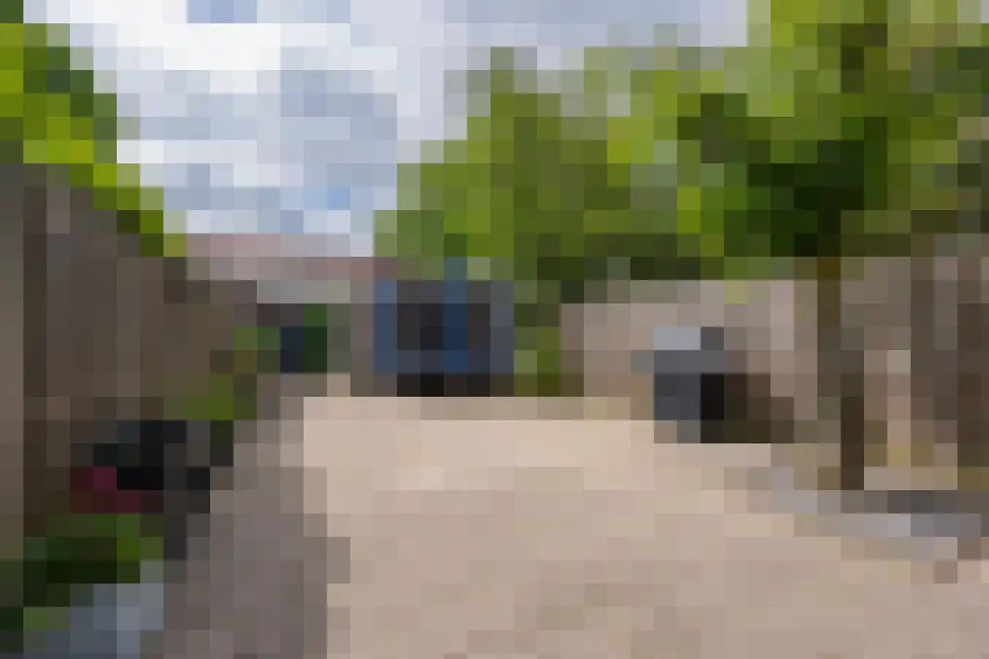 Civitaspad 27 Tiel thumbnail 26