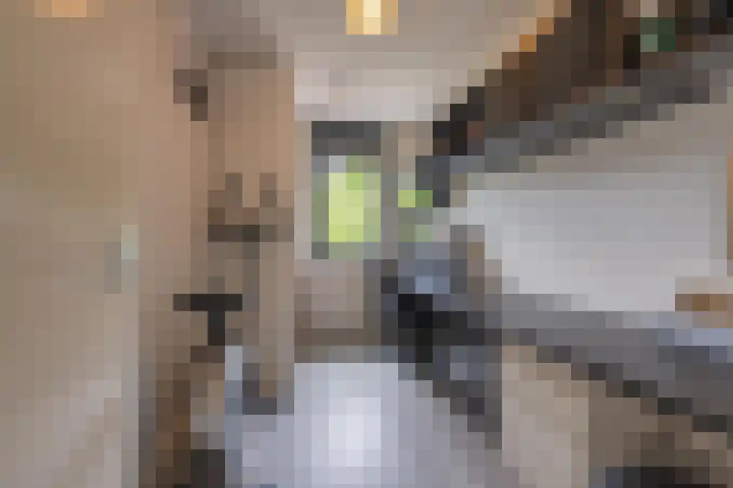Civitaspad 27 Tiel thumbnail 47