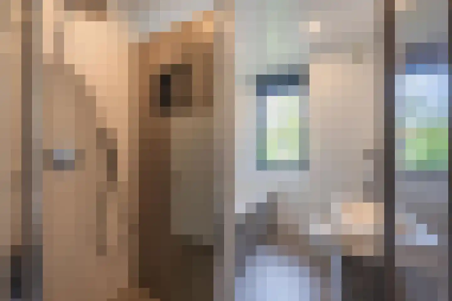 Civitaspad 27 Tiel thumbnail 49