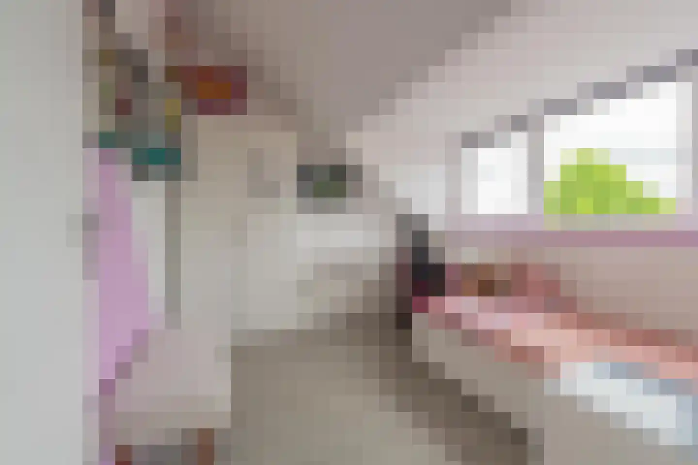 Civitaspad 27 Tiel thumbnail 54