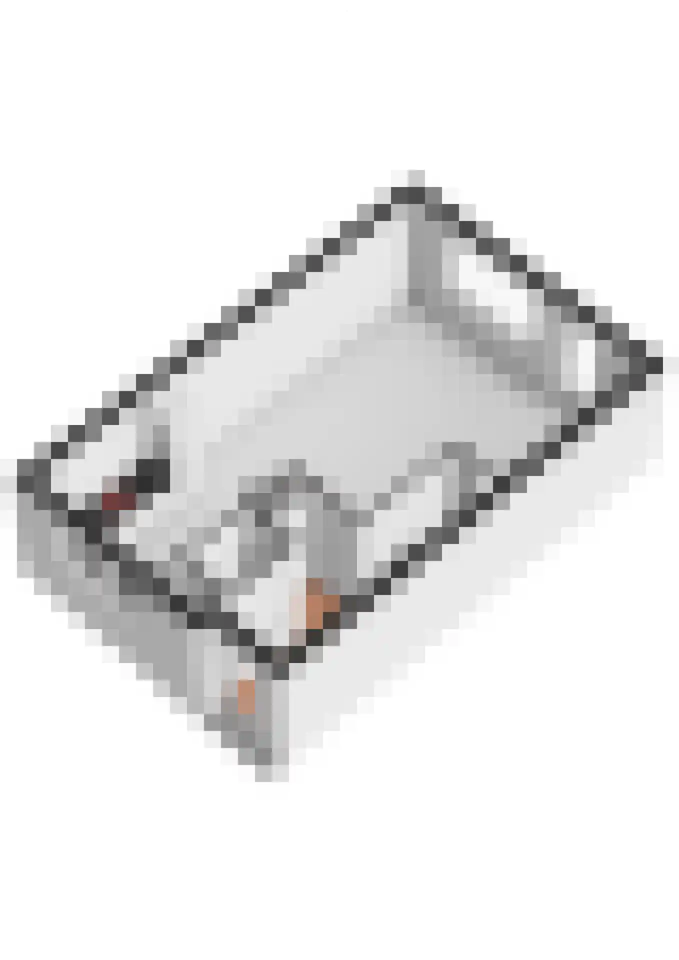 Civitaspad 27 Tiel thumbnail 60