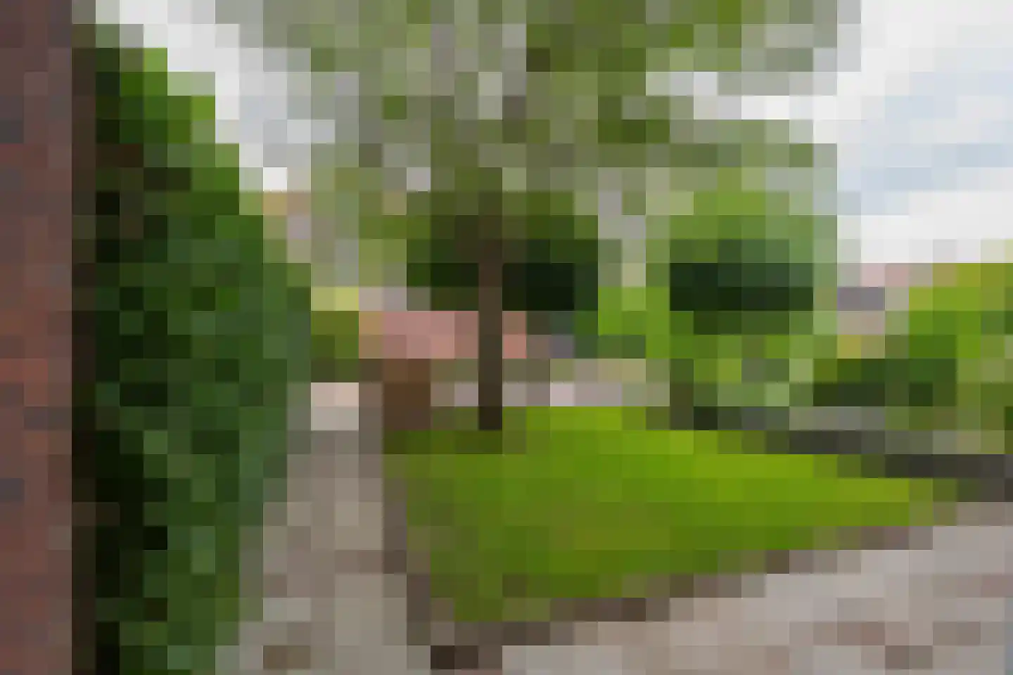 Civitaspad 27 Tiel thumbnail 9