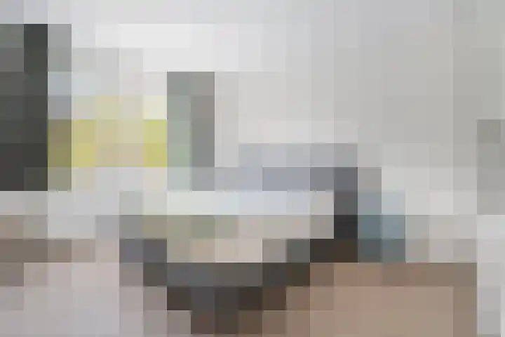 Claasgoed 11 Putten thumbnail 12