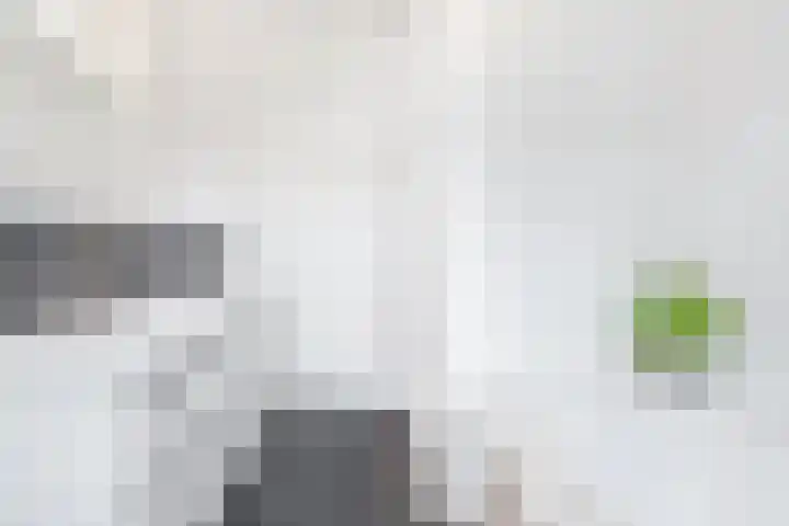 Claasgoed 11 Putten thumbnail 16