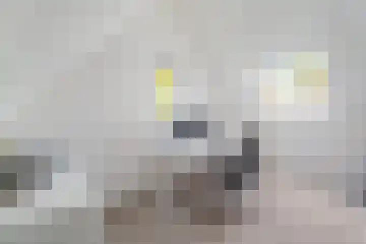 Claasgoed 11 Putten thumbnail 19