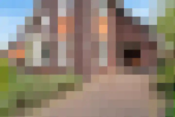 Claasgoed 11 Putten thumbnail 21