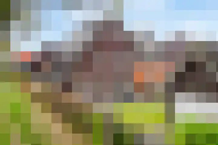 Claasgoed 11 Putten thumbnail 22