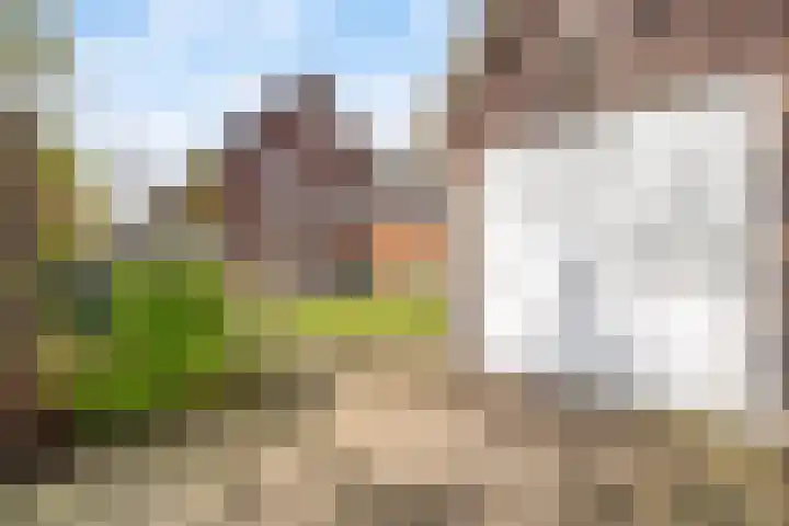 Claasgoed 11 Putten thumbnail 23
