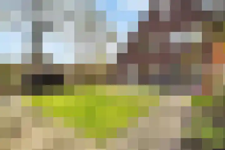Claasgoed 11 Putten thumbnail 25