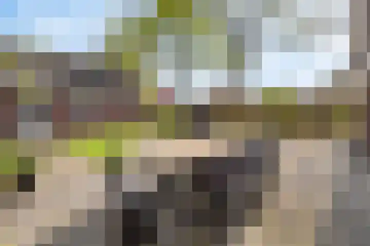 Claasgoed 11 Putten thumbnail 26
