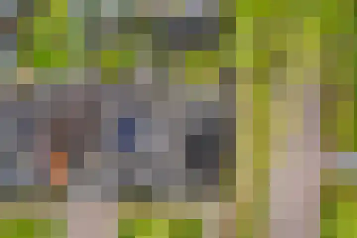 Claasgoed 11 Putten thumbnail 27