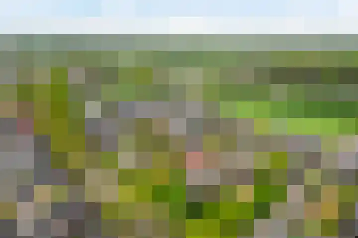 Claasgoed 11 Putten thumbnail 28