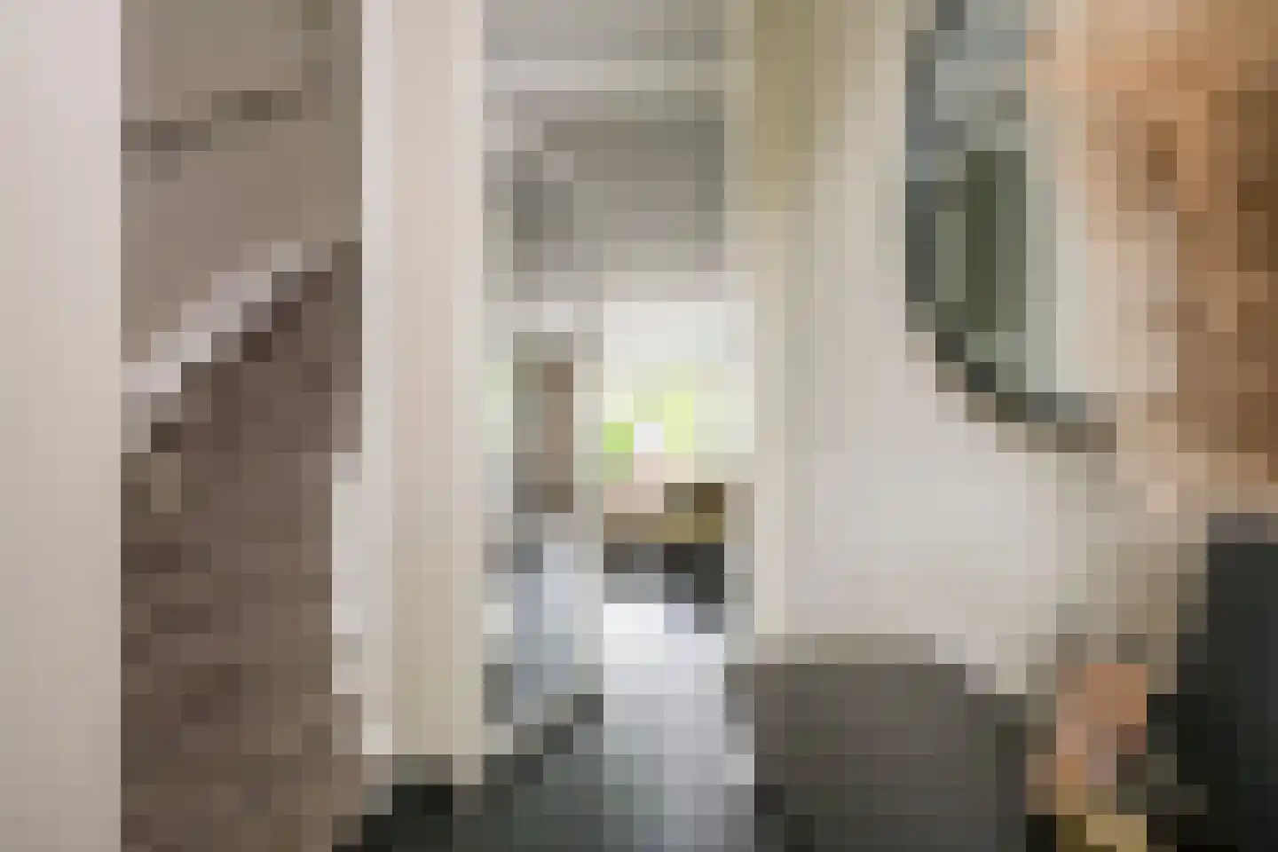 Claasgoed 16 Putten thumbnail 15