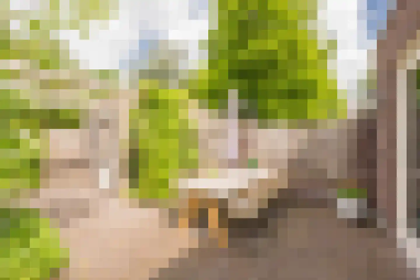 Claasgoed 16 Putten thumbnail 29