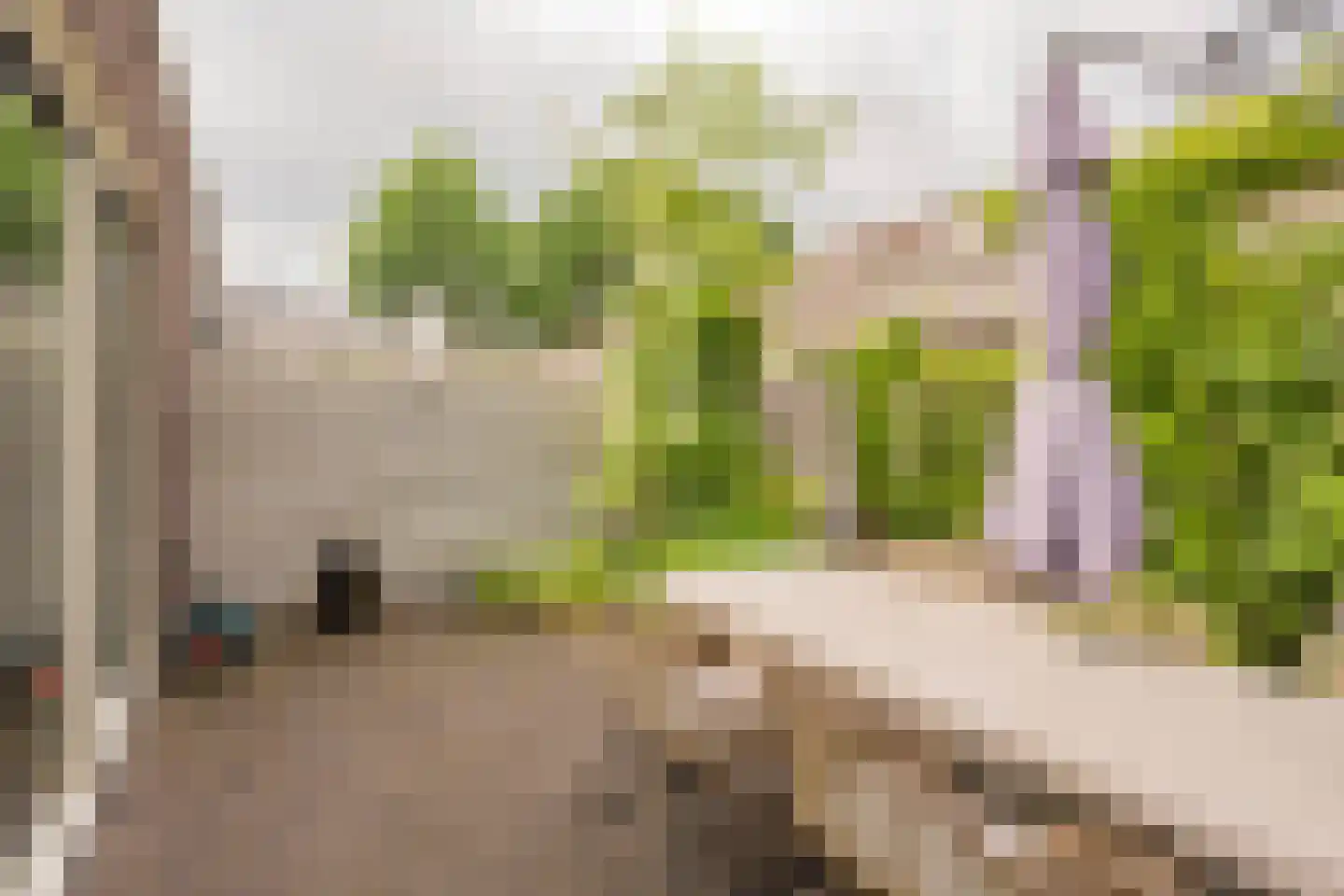 Claasgoed 16 Putten thumbnail 30