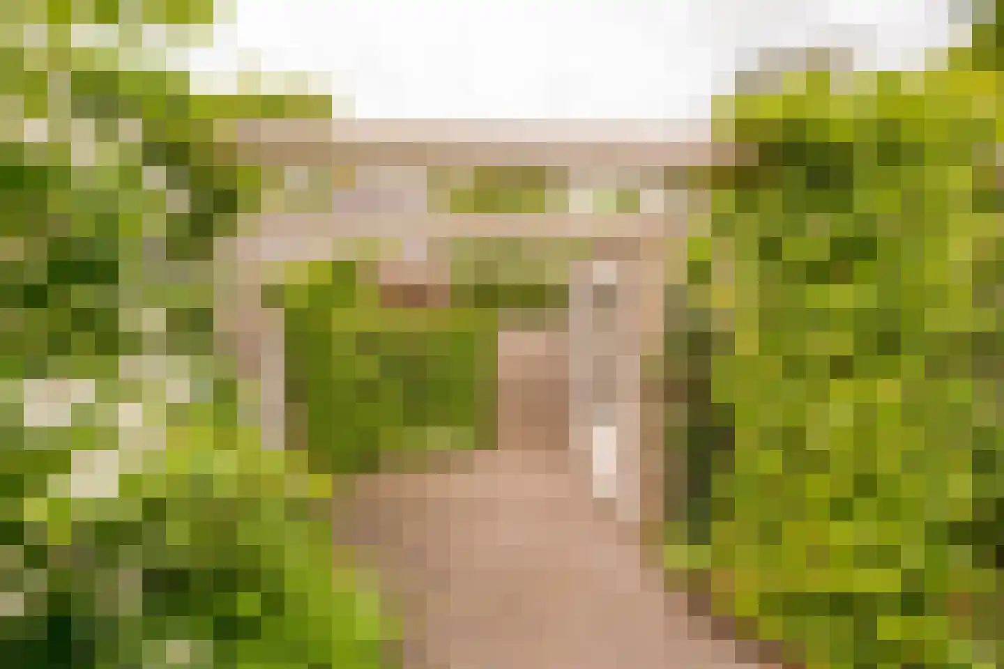 Claasgoed 16 Putten thumbnail 31
