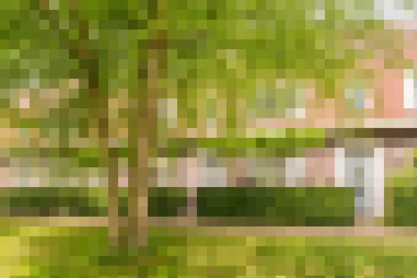 Claasgoed 16 Putten thumbnail 34