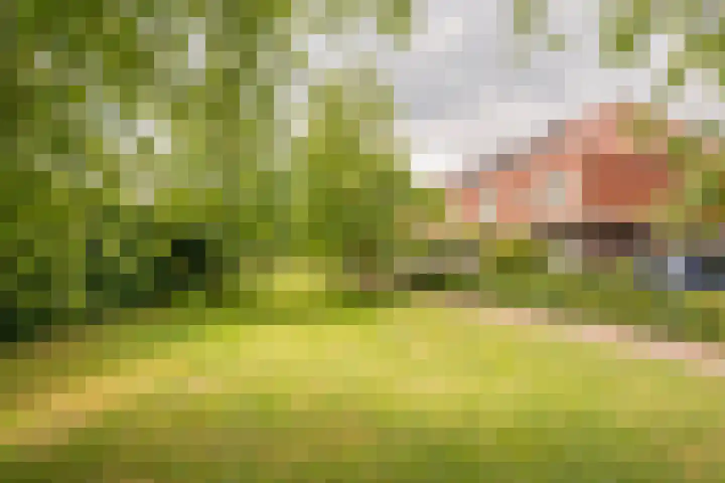 Claasgoed 16 Putten thumbnail 36
