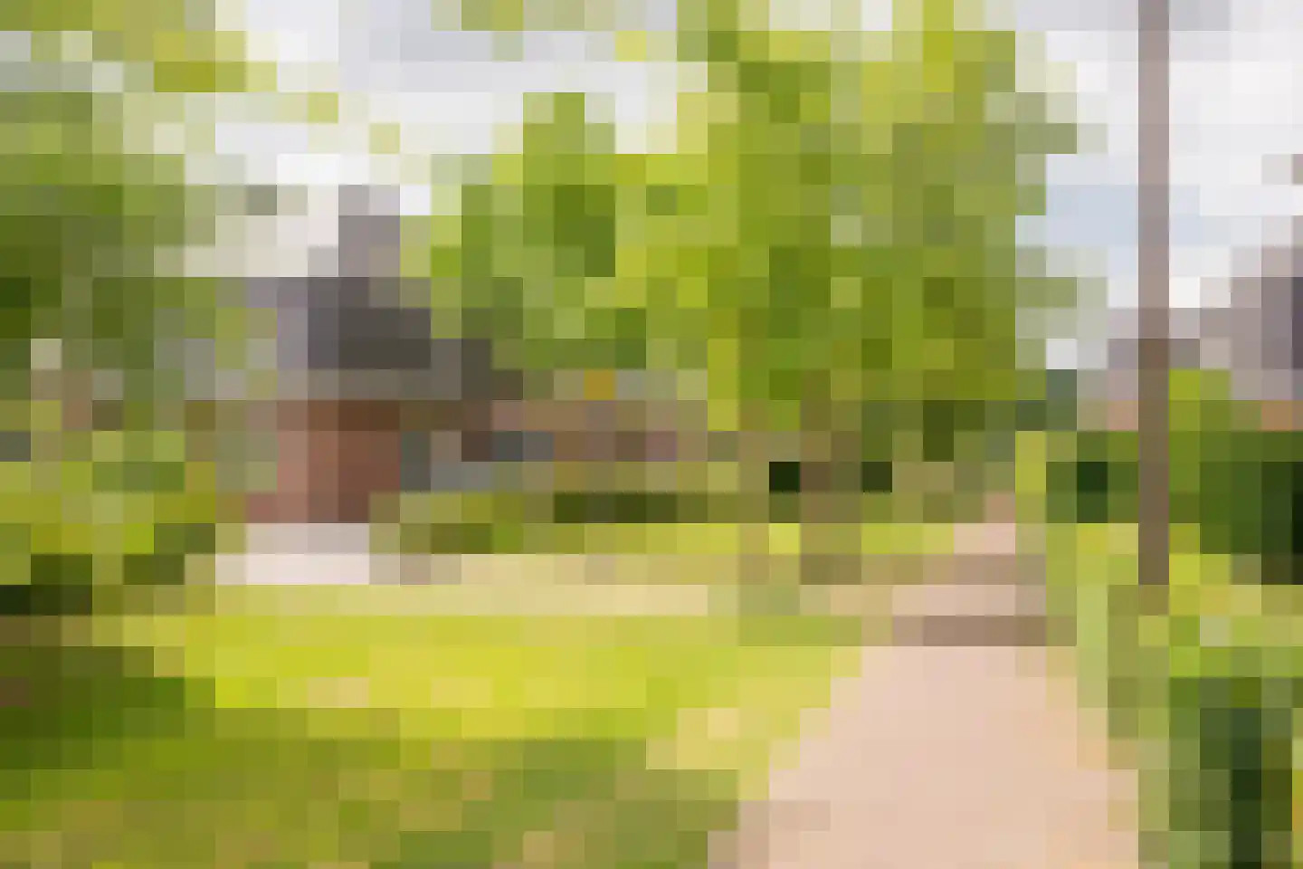 Claasgoed 16 Putten thumbnail 37